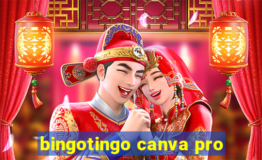 bingotingo canva pro